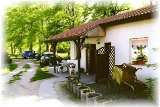 Ferienhaus in Wald- und Seenähe - 9
