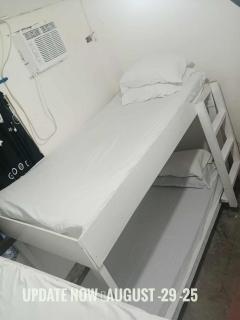 Alegreya Homestay + Cafe - 7