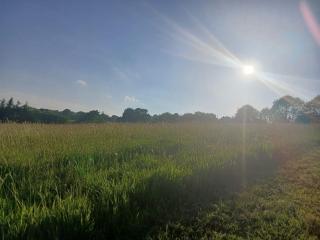 Deer Barn Retreats - 2