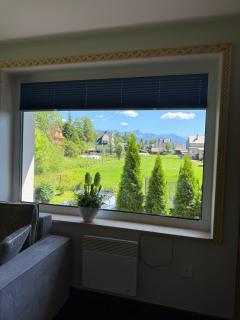 Piękne apartamenty z widokiem na góry ,Sauna, kominek, darmowy parking , 5km do Zakopanego - 4