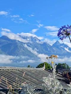 37 Courtyard（Baisha Ancient Town） - 6