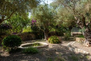 Son Moix - Manacor - 8