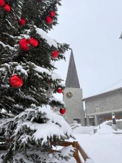 Allalin View - Saas-Fee - 6