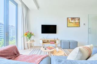 Spacious Studio in Brussels - 8