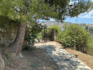 Cortijo El Rincón - 8