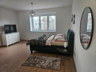 Úplne nový Apartmán Kvetinka v centre Žiliny - 7