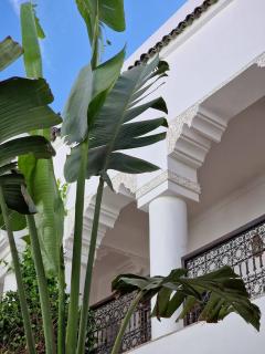 Riad Dar El Mahja - Marrakesh - 2