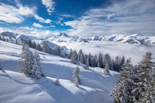CHALET BELLE KAISER by Belle Stay - 9