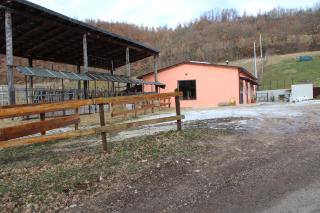 Agriturismo Natura e Gusto fattoria didattica - Cascia - 1