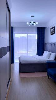 spacious furnished three bedroom apartment with swimming pool fully equipped gym ample parking space children playground area and amazing scenic views - 2