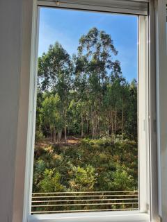 Apartamento Soleado cerca de la playa - WIFI - 3