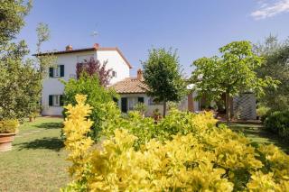 Villa Elena - Cortona - 6
