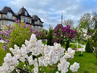 Dacha Del Mar - 2