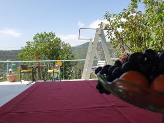 SUNNY SWEET HOME - 5