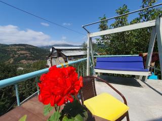 SUNNY SWEET HOME - 4