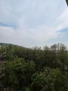 Misty Mountain Escape - 9