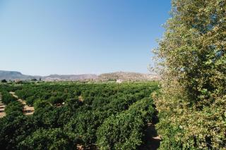NafplioBiofarms Country Apartments - Nafplio - 8