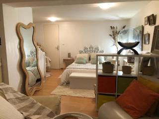 Chambre privée MIREFLEURS - 9