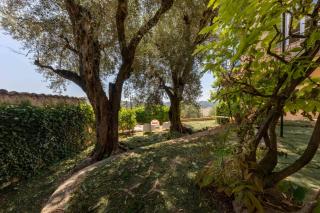 Charming village house in Opio - 1