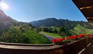 Haus Panorama - 7