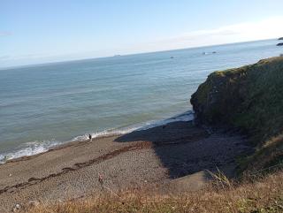 Sarways - Wicklow - 3