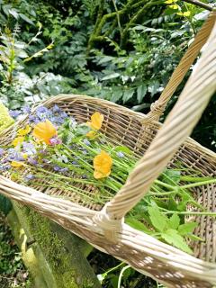 West Wing Lurley Manor - 1