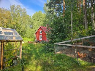 Romantic countryside SAUNA Cottage - - 7
