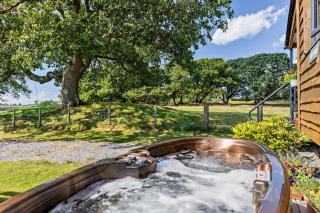 1 Bed in Llandeilo oc-w33068 - 8