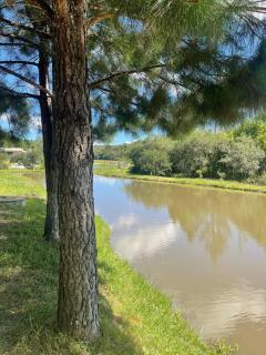 Chácara Cavalheiros Colonia Murici - 3