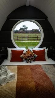 Sage- Glamping Pod - 4