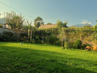 Mountain View - 7