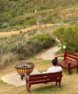 Hartenbos Private Game Lodge - 6