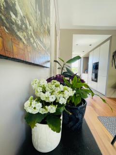 Green Garden - Appartement Terrasse centre Lille - 2