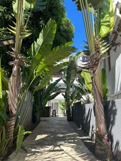 Villa Camille - 2 bedroom apartment - Grand Baie - 5