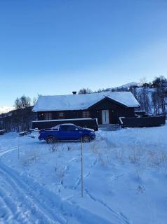 Cozy Cottage in Rauland Vierli - Torvetjørn - 6
