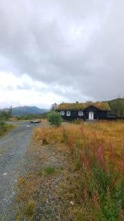 Cozy Cottage in Rauland Vierli - Torvetjørn - 4