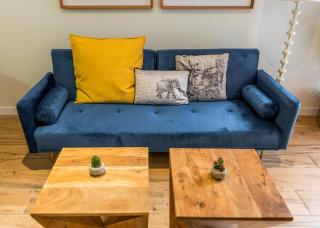 Bright and cozy- 1D 1B- Plaza Castilla - 8