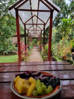 La Yeguada - Forest Point Cabin - 7