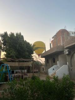 Golden Rose Guesthouse - 6