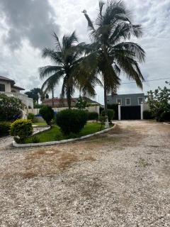 Ocean Walk Guesthouse - Trankill - 6