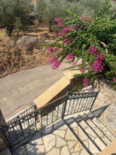 Villa Panόrama - Riglia - 6