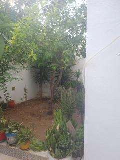 R flaurence la marsa - El Haouach - 8