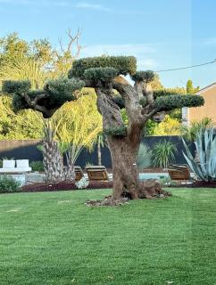 537 Saint Emilion - Luxury Guest House - 1