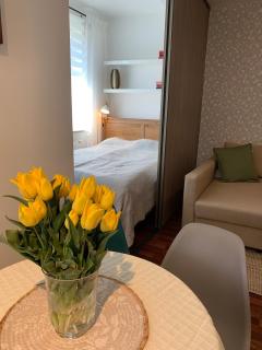 Apartament Ogrodowa - Bielany Wrocławskie - 3