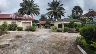 Ocean Walk Guesthouse - Trankill - 9