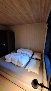 Cozy Cottage in Rauland Vierli - Torvetjørn - 8