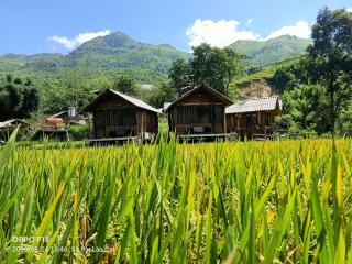 Mẩy Lơ Homestay - 0