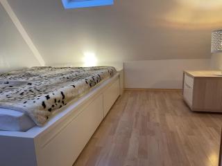 Maria vacation apartment with Elbe view - Coswig - 9
