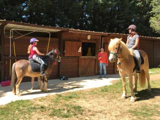 Gite Au Écuries du Mas di Gau - 7
