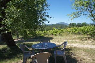 Gite chalet - Le Mas des Collines - Châteauneuf-de-Bordette - 2